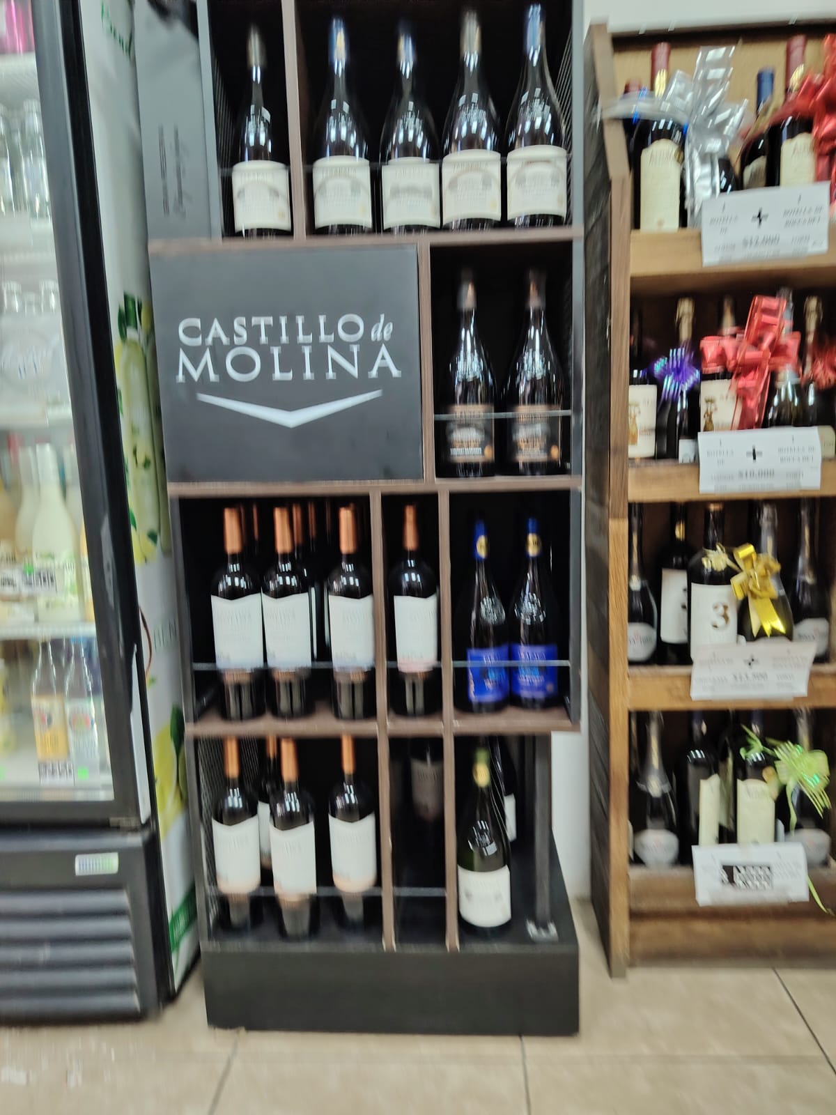 Castillo de Molina